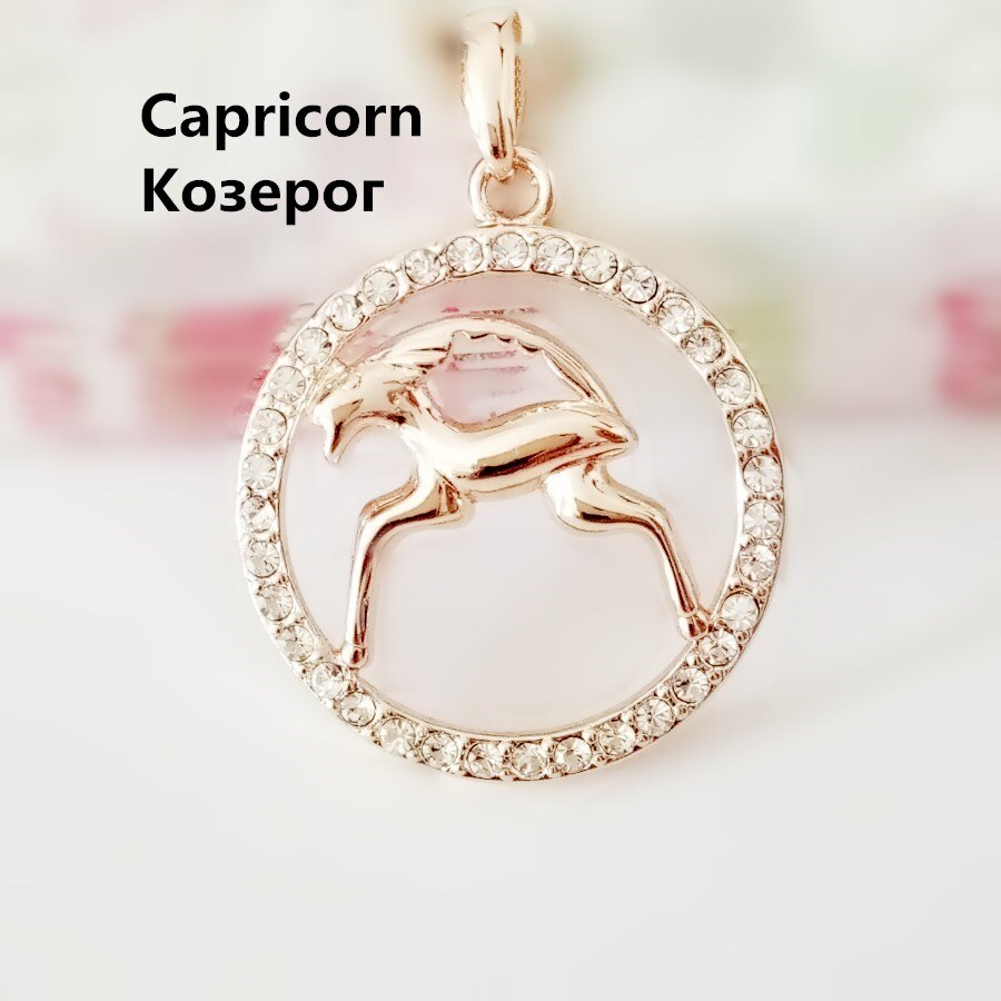 585 Rose Gold Color Women Men Round Cubic Zircon 12 Zodiac Pendants Constellation Jewelry