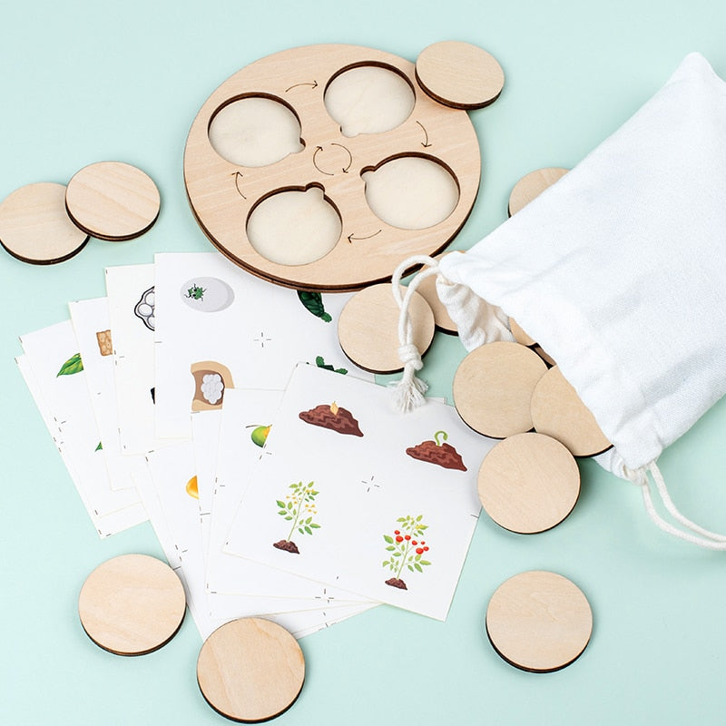 Life Cycle Board Montessori Kit Biology Science Education Toys For Kids Sensory Tray Animal Figure Life Cycle Sorting Wooden Toy