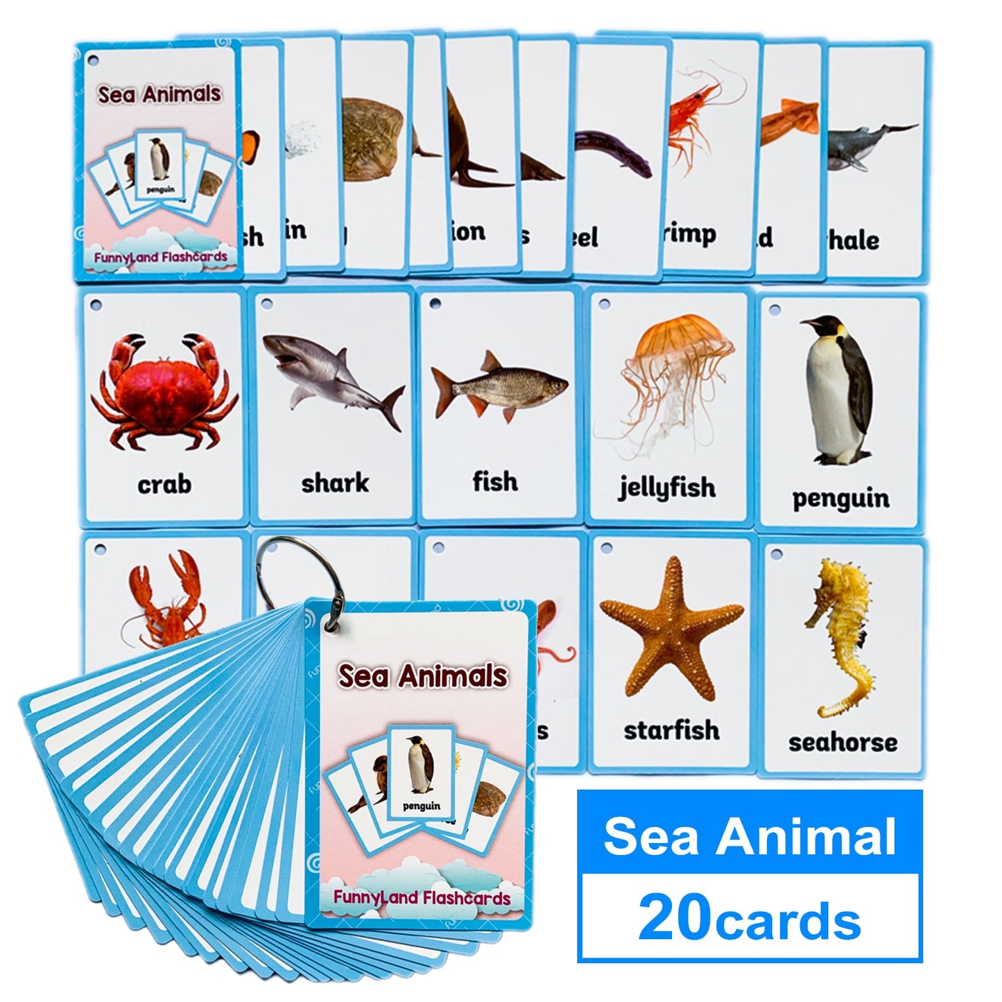 Children Baby English Learning Word Pocket Card Flashcard Montessori Educational Toys Words Table Game Gift for Kids Montessori